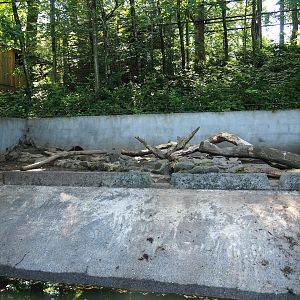 American beaver exhibit, 2023-06-24