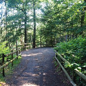 Dead-end walkway with view of Cameroon sheep, Himalayan tahr, Siberian ibex and American beaver exhibits, 2023-06-24
