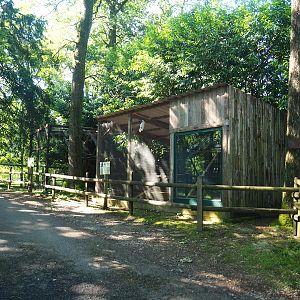 Umbrella cockatoo aviary and house, 2023-06-24