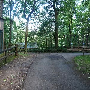 Park view with Umbrella cockatoo house, Corner of lynx exhibit,  Raccoon exhibit and Access to tahr and ibex viewing area, 2023-06-24
