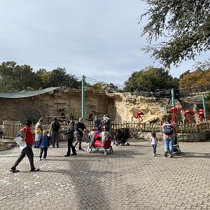New lemur exhibits