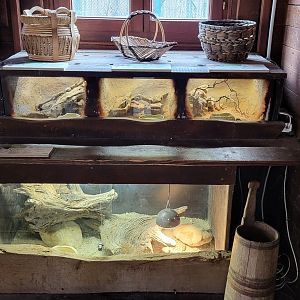 "Trapper's cabin" exhibit