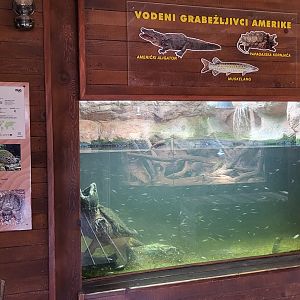 "Trapper's cabin" exhibit