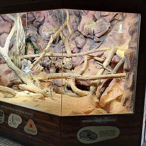 "Trapper's cabin" exhibit