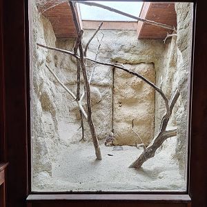 "Trapper's cabin" exhibit