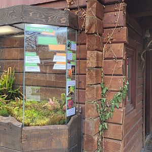 "Trapper's cabin" exhibit