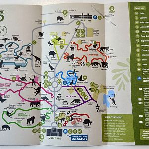 Melbourne Zoo Map (2023)