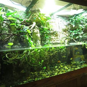 Melanesian Freshwater Tank