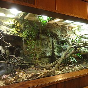 Gray's Monitor Exhibit
