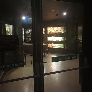 New reptile room