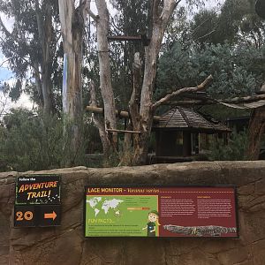 Lace Monitor exhibit