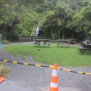 Picnic Area (off-limits to protect Paradise Shelduck family)
