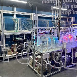 Jellyfish Laboratory