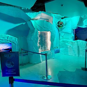 Antarctic Experience