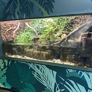 Australian Freshwater Tank