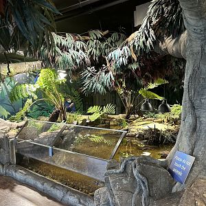 Wetlands Exhibit