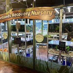 Wetlands Nursery