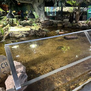 Wetlands Exhibit