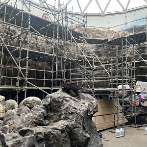 The Living Coast - Penguin exhibit construction