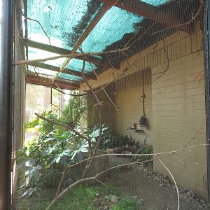 Socorro Dove Exhibit