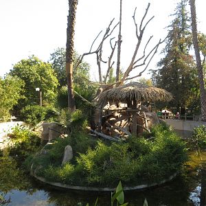 Ring-tailed Lemur Exhibit