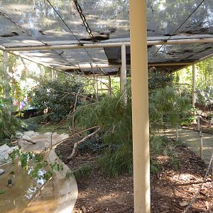 Australasian Aviary