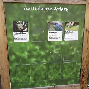 Australasian Aviary Signage