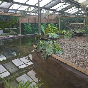 Tomistoma enclosure