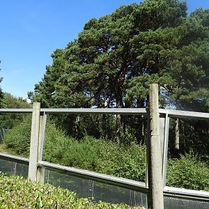 [2020] Gibbon enclosure