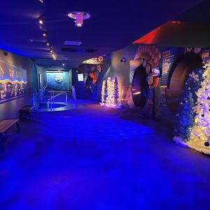 Adventure Aquarium - Christmas decor