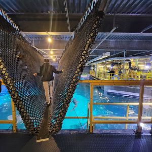 Adventure Aquarium - Shark bridge