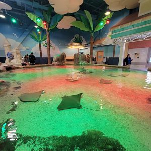 Adventure Aquarium - Christmas decor