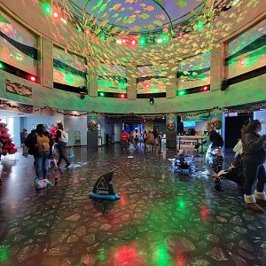 Adventure Aquarium - Christmas decor