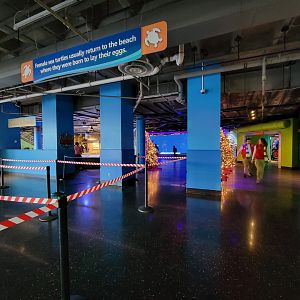 Adventure Aquarium - You must stand in line to view the hammerhead tank window closer to the rotunda