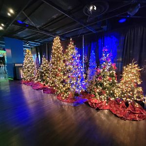 Adventure Aquarium - Christmas decor