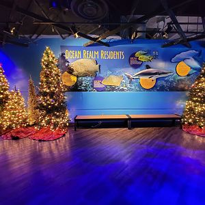 Adventure Aquarium - Christmas decor