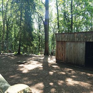 Emu and Red-necked wallaby barn and paddock, 2023-06-24