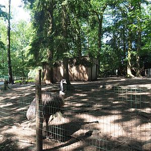 Emu and Red-necked wallaby barn and paddock, 2023-06-24