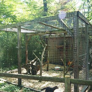 Tayra exhibit, 2023-06-24