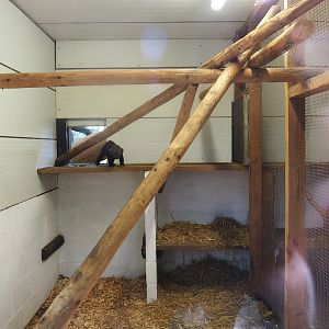 Tayra indoor housing, 2023-06-24