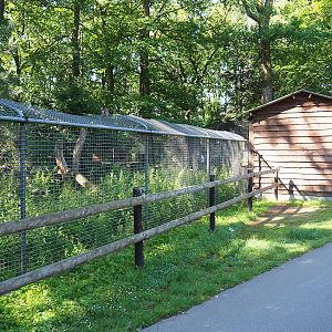 Bush dog exhibit and Bush dog and Squirrel monkey barn, 2023-06-24