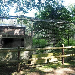 Bush dog exhibit and shelter, 2023-06-24