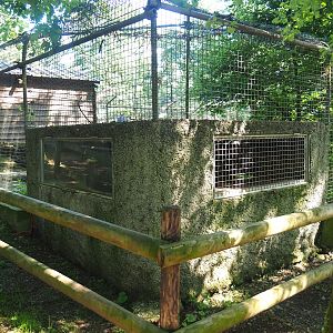 Bush dog shelter, 2023-06-24