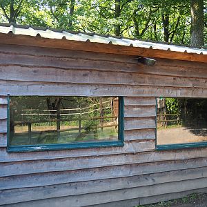 Bush dog and Bolivian squirrel monkey barn, 2023-06-24
