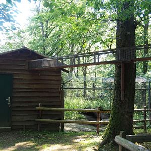 Tunnel between Bolivian squirrel monkey barn and outdoor exhibit, 2023-06-24