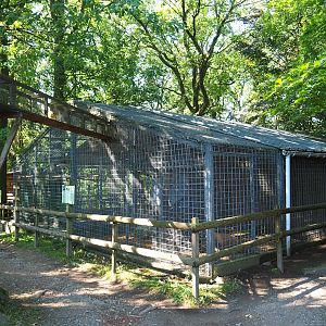 Tunnel between Bolivian squirrel monkey barn and outdoor exhibit, 2023-06-24