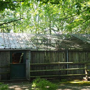 Door to Agouti and macaw indoor exhibit and part of backside of Clouded leopard exhibit, 2023-06-24