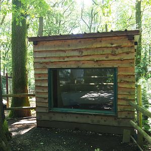 North African crested porcupine barn, 2023-06-24