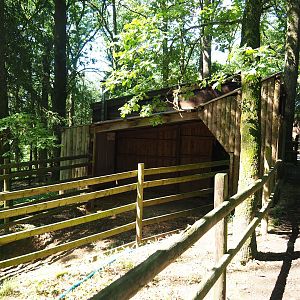 Beisa oryx barn and holding paddock, 2023-06-24