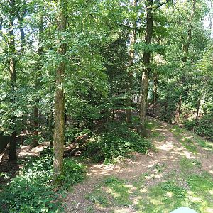 Striped hyena exhibit, 2023-06-24